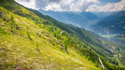 Landschaft